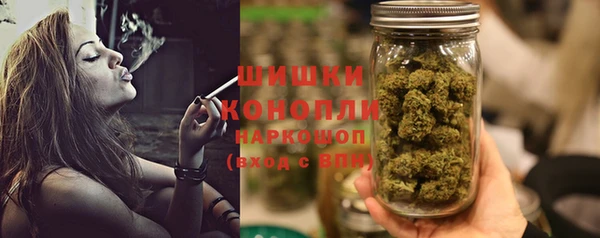 бошки Аркадак