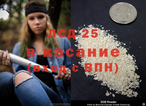 бошки Аркадак