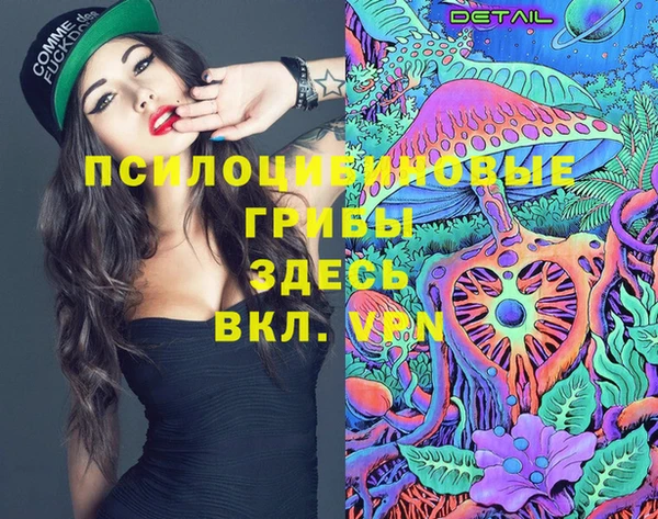 кокс Арсеньев