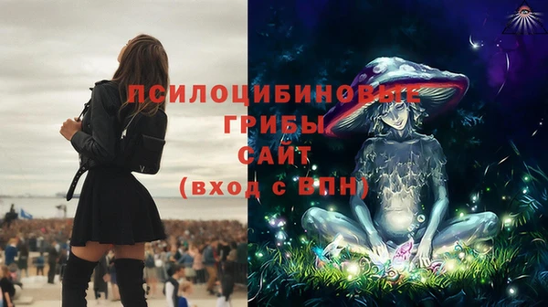 бошки Аркадак