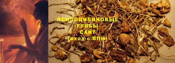 кокс Арсеньев