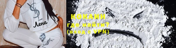 бошки Аркадак