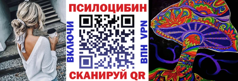 купить закладку  Пролетарск  ОМГ ОМГ онион  shop наркотические препараты  Псилоцибиновые грибы Magic Shrooms 
